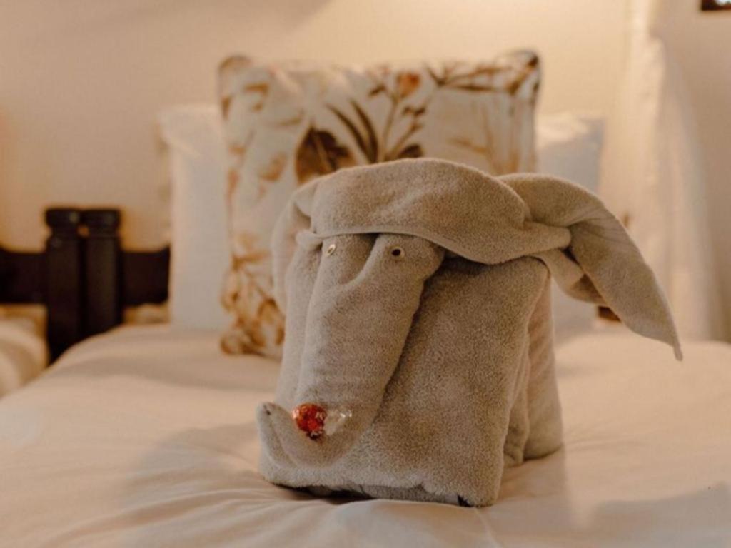 הודספרויט Nyala Safari Lodge מראה חיצוני תמונה